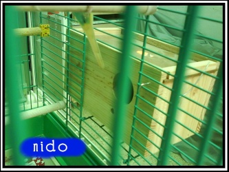 nido