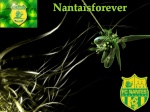 Nantaisforever