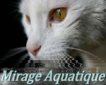 Mirage Aquatique