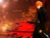 Anime Bankai10