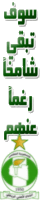 اهلي