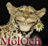 MolOch