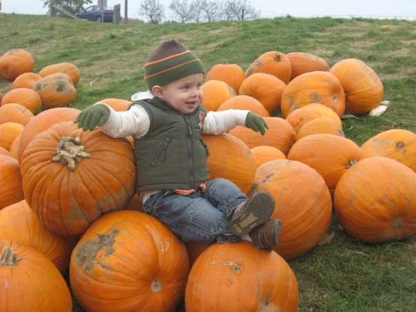 sittinpumpkinsoheight