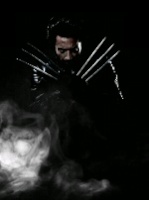 Wolverin