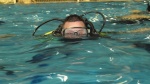 mr.diver