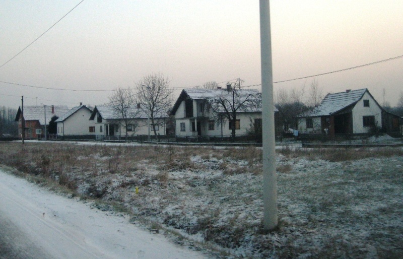 boce 17.12.2010. zima