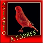 ATORRES