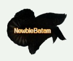 Newbie Batam