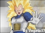 Vegeta37