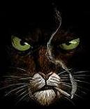 blacksad