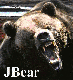 JBear