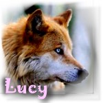 Lucy