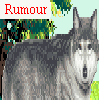 Rumour~Wolf