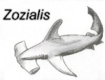 Zozialis