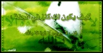 الولد القوى