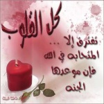 & السناتور &