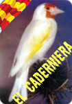 caderniera