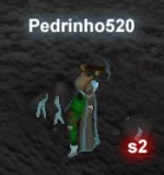 pedrinho520