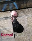 Kernal