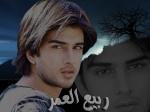 ربيع العمر