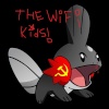 thewifikids