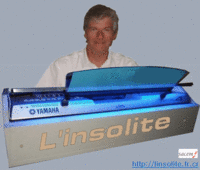 Linsolite