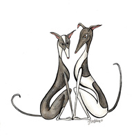 Greyhound Chat 16-65