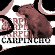 Carpincho