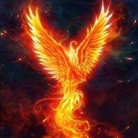 Fiery Phoenix