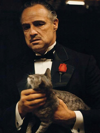 Corleone