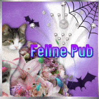 Féline Pub