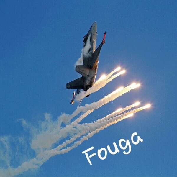 Fouga