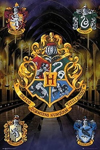 Hogwarts University