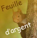 Feuille d'argent