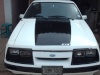 mi mustang 84