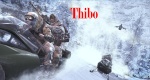 thibo