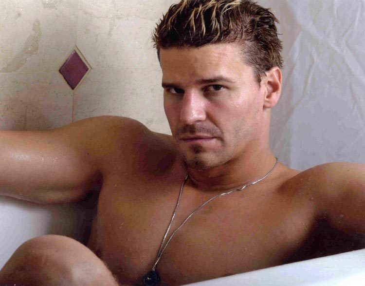 David Boreanaz