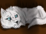 whitewolfwolfpup