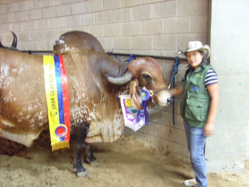 feria nacional asocebu bucaramnaga 3