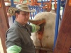 feria nacional asocebu bucaramnaga 5