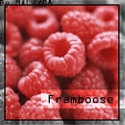  Framboose 