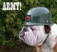 armybulldog