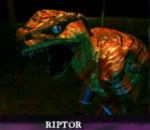 riptor82