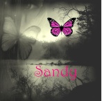 >>Sandy<<