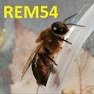 REM54