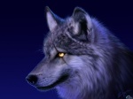 werewolf2747