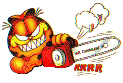 garfield