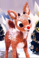 Rudolph207