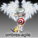 ombres-agile