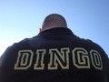 dingo92